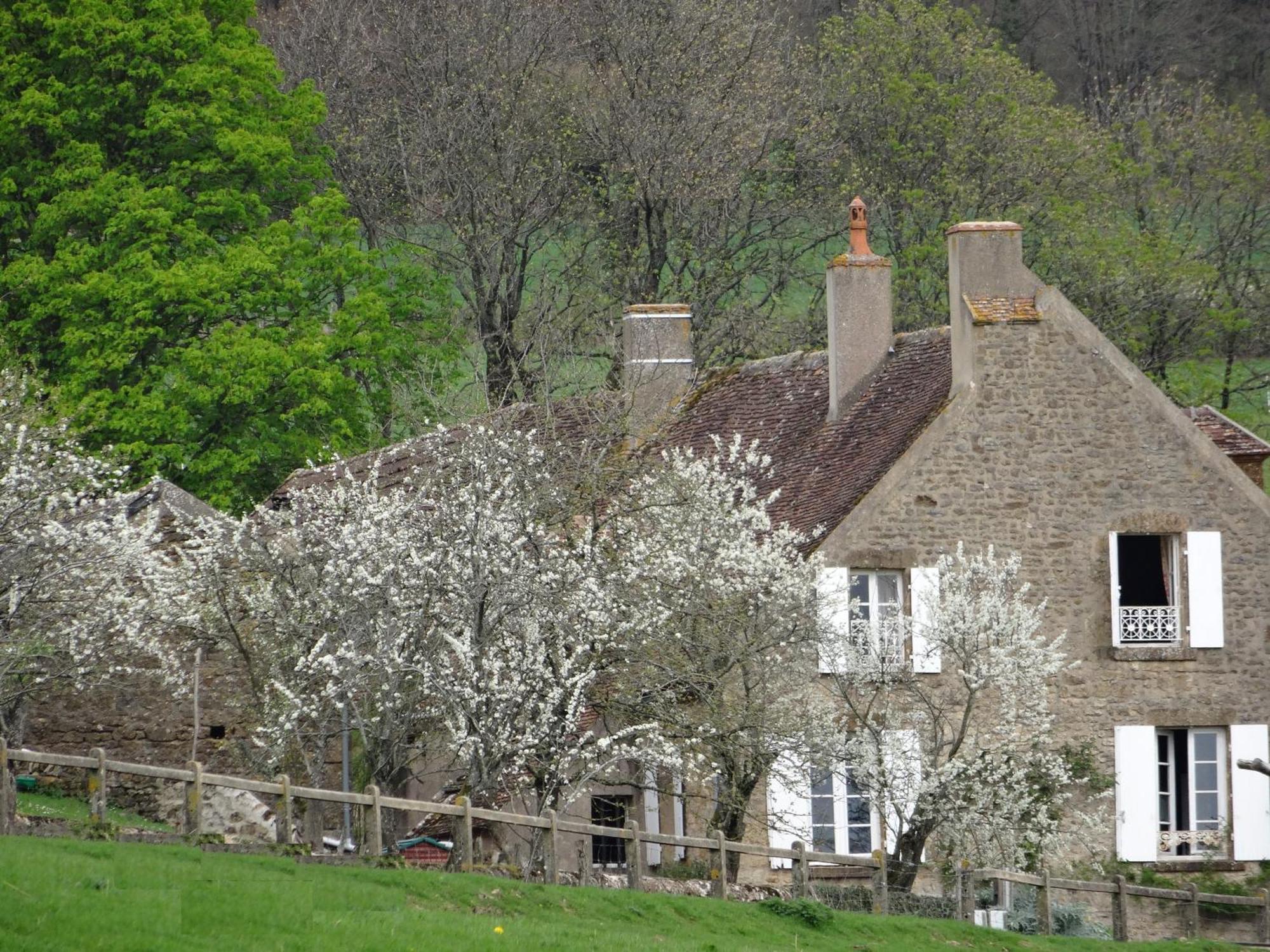 Domaine De Dremont Bed & Breakfast Anthien Exterior photo