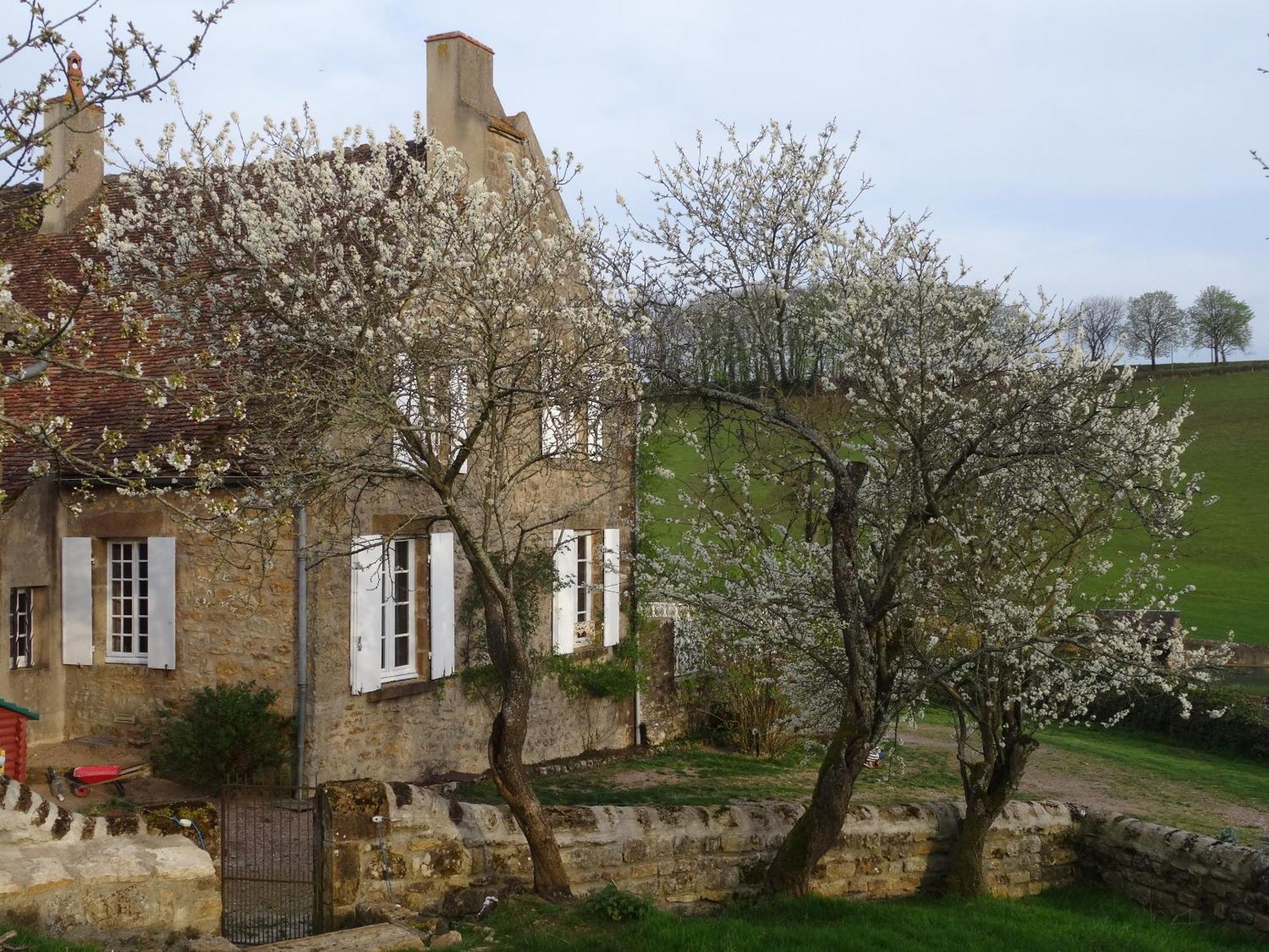 Domaine De Dremont Bed & Breakfast Anthien Exterior photo