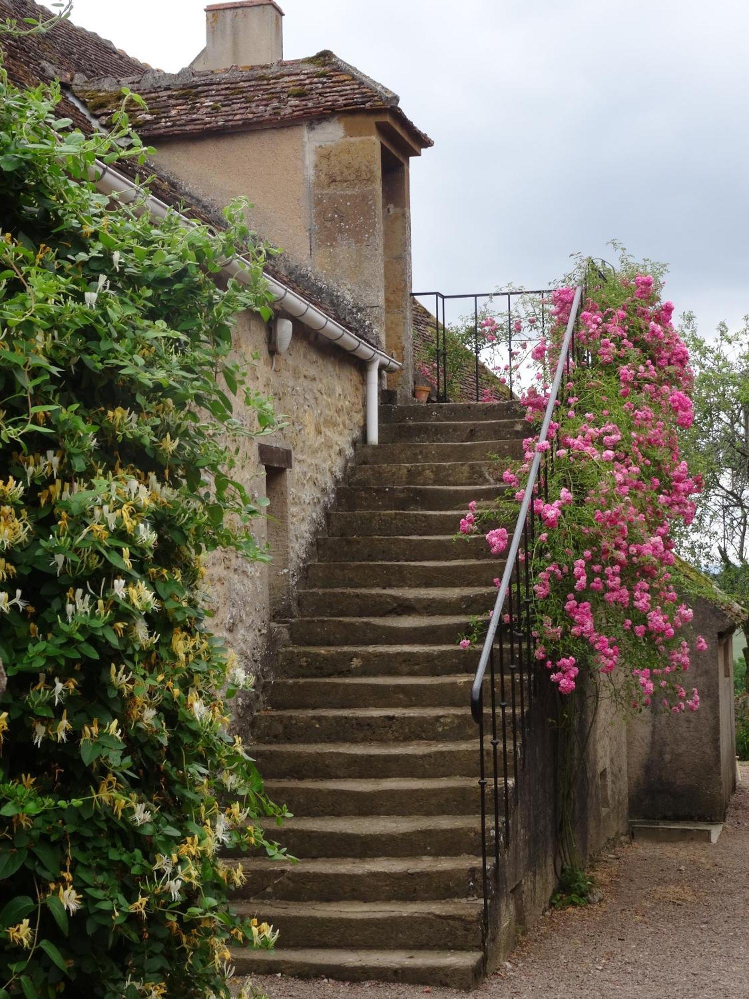 Domaine De Dremont Bed & Breakfast Anthien Exterior photo