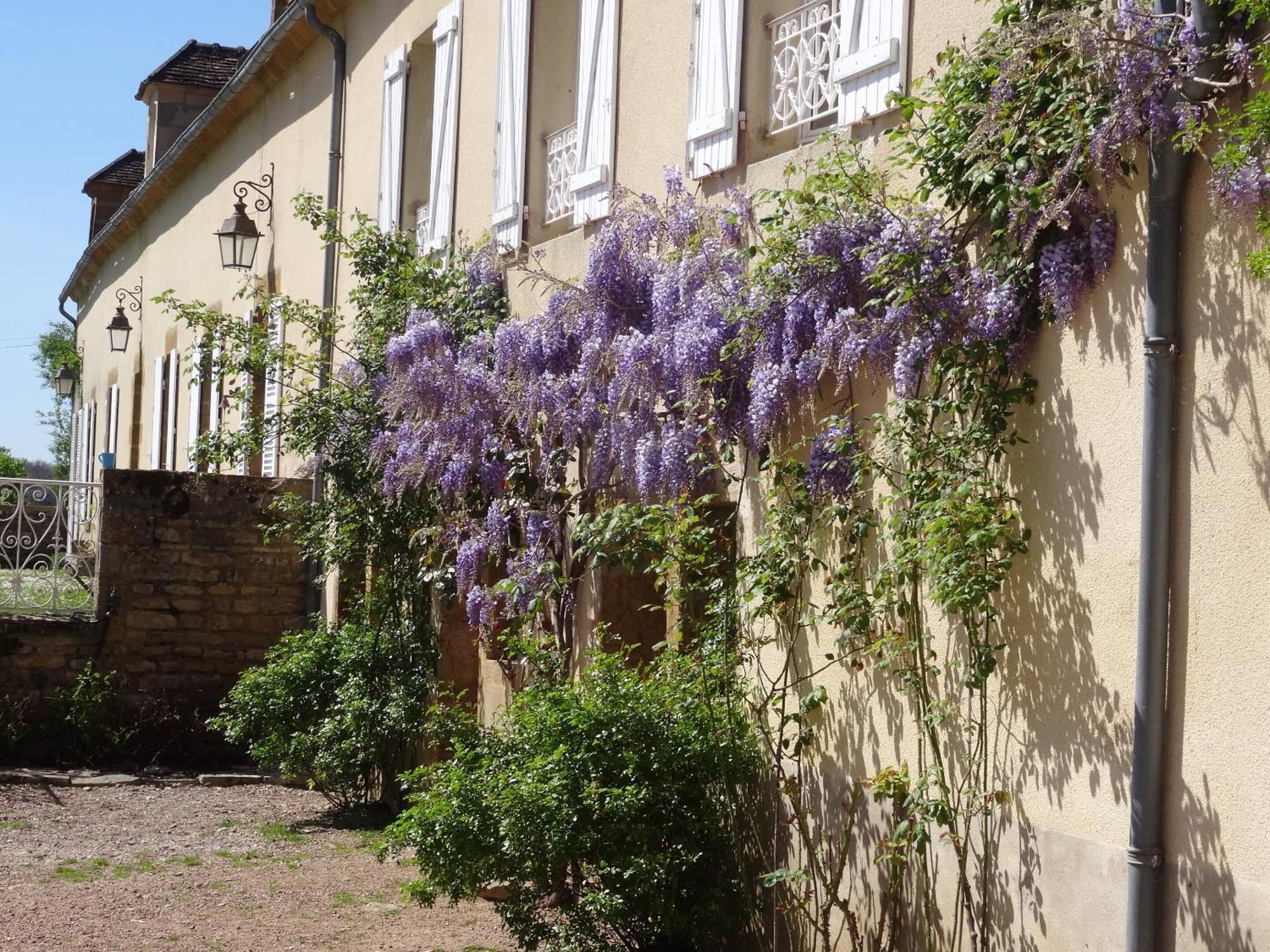 Domaine De Dremont Bed & Breakfast Anthien Exterior photo