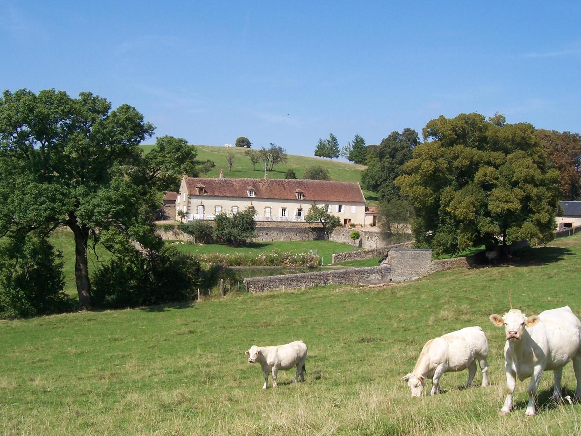 Domaine De Dremont Bed & Breakfast Anthien Exterior photo