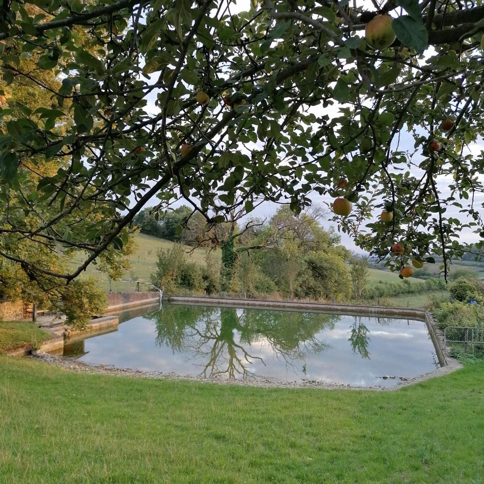 Domaine De Dremont Bed & Breakfast Anthien Exterior photo
